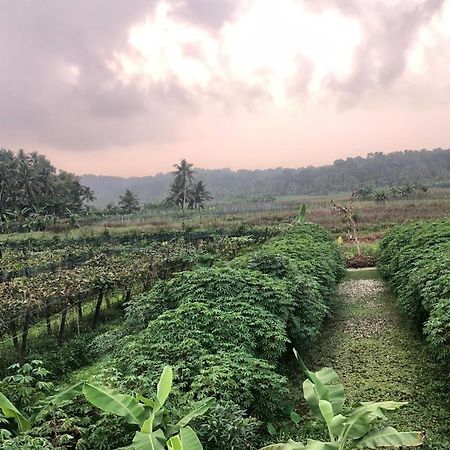 Villa Anandha Thiruvananthapuram Exteriér fotografie