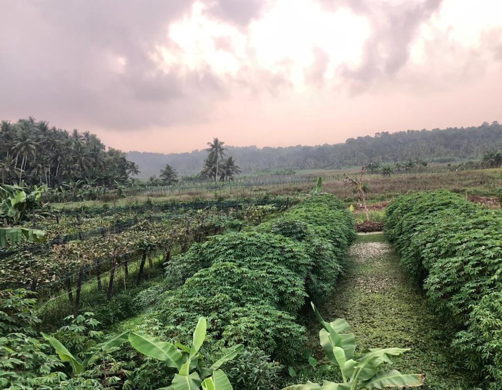 Villa Anandha Thiruvananthapuram Exteriér fotografie